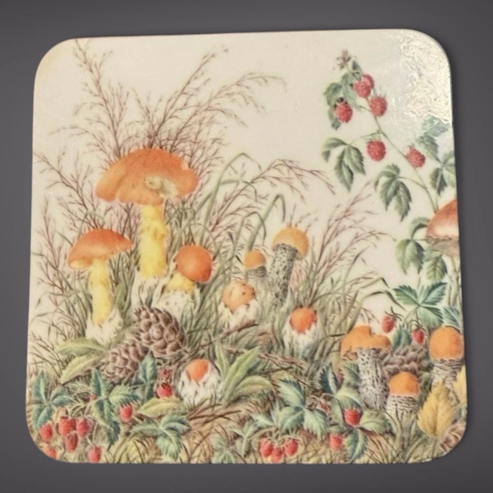 VTG Mushroom Coasters Set - 5 Cork Back Woodland Cottagecore Botanical Retro 70s